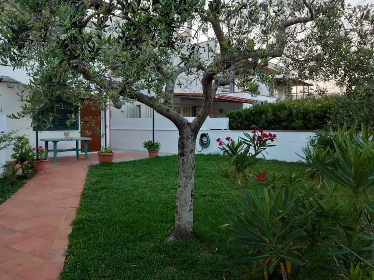 Casa Vacanza Villa Uggiano La Chiesa Exterior photo